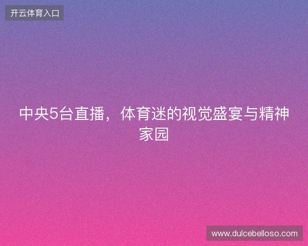 中央5台直播，体育迷的视觉盛宴与精神家园